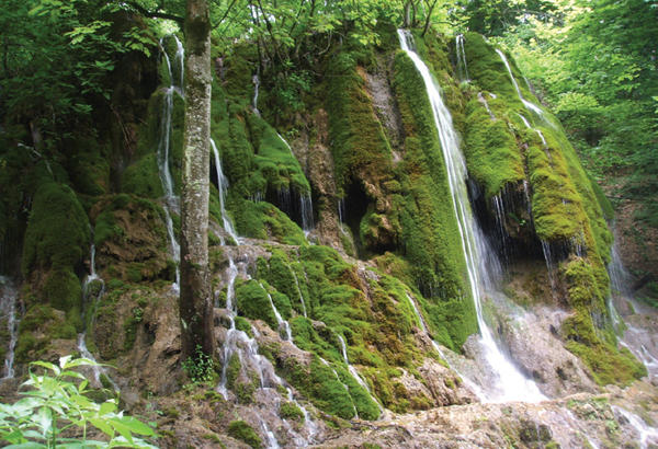 Wonderful Green Moss waterfall(🇦🇿Mamırlı)